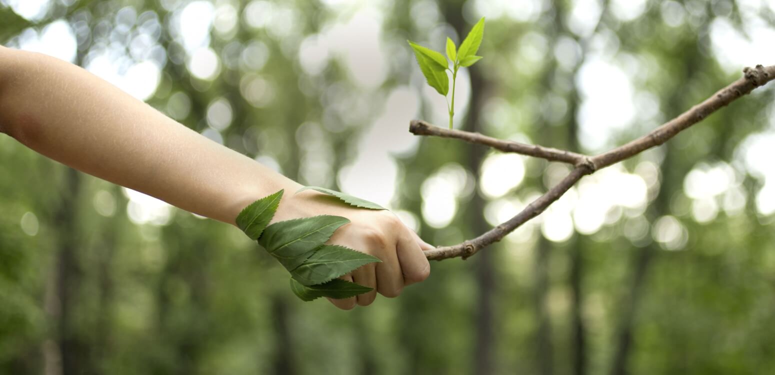 Ruf Umweltlabels Ruf Umweltlabels.